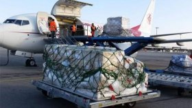 Algeria Exports Dates To France, Vegetables To The Gulf Countries