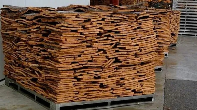 إحباط محاولة تهريب 350 قنطار من الفلين بقيمة 700 مليون بسكيكدة