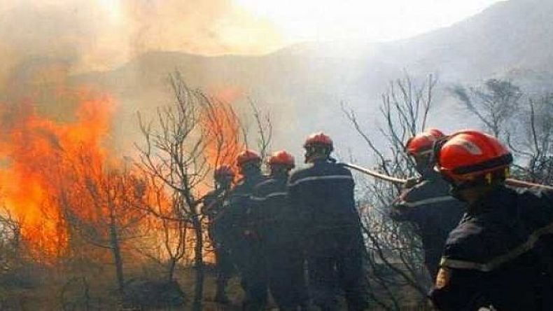 الجزائر تسجل “عاما عاديا” من حيث حرائق الغابات