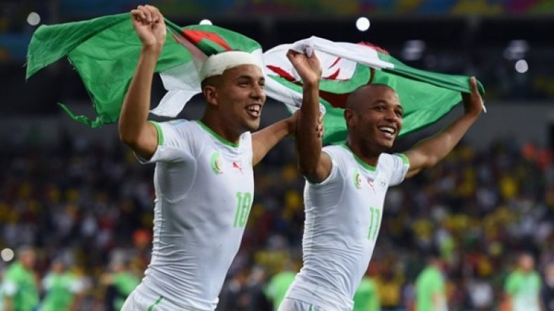 فيغولي وبراهيمي لِتحييد العائق اللغوي