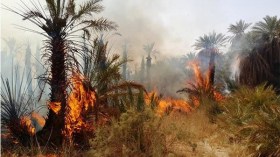 حريق هائل يلتهم 2000 نخلة ببساتين فقارة الزوى بتمنراست
