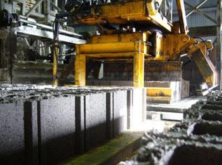 ArcelorMittalâ€™s Algerian subsidiary faces bankruptcy, seeks Government's help