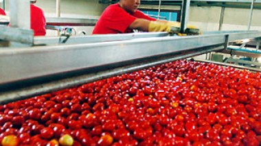 Turkish operator smuggles sophisticated machines imported by Algeria from Italy