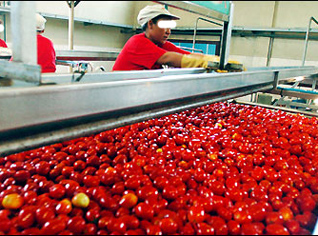 Turkish operator smuggles sophisticated machines imported by Algeria from Italy