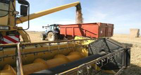 Baisse de 12% de la facture alimentaire de l’Algérie au 1er semestre 2012