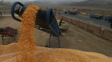 Baisse des importations algériennes à fin mai 2012 dans le sillage de la chute de 11% de la facture alimentaire