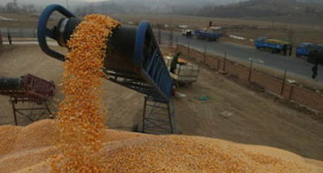 Baisse des importations algériennes à fin mai 2012 dans le sillage de la chute de 11% de la facture alimentaire