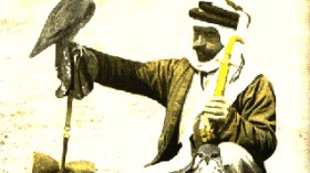11 Emirs carried out falconry illegally in Algeria