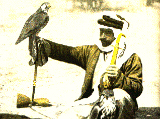 11 Emirs carried out falconry illegally in Algeria