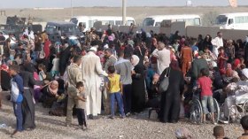 الفلوجة.. اعتقال وتعذيب للرجال وتشريد للنساء والأطفال