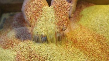 La FAO et ses partenaires pour un élan majeur contre les pertes et gaspillages alimentaires
