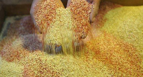 La FAO et ses partenaires pour un élan majeur contre les pertes et gaspillages alimentaires