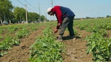 Algerian farmers will see their debts written off by the end of October