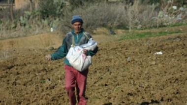 Government issues stringent measures over farmlandsâ€™ exploitation