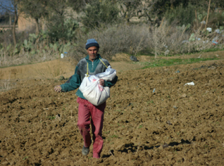 Government issues stringent measures over farmlandsâ€™ exploitation