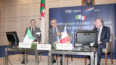 French Seek Rescinding Of 51/49 Rule, Repayment Of Corporate Debt And Easing Of Profits’ Transfer