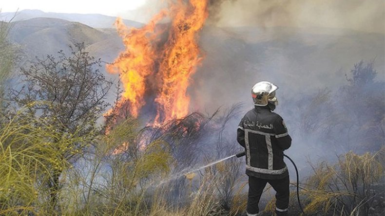 وباءٌ خطير.. ولا كمامة!