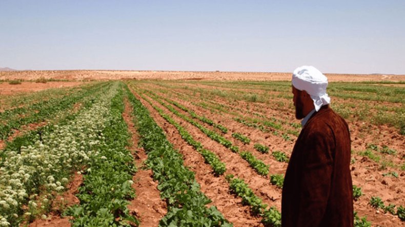 فلاحون يشرعون في هجر أراضيهم بسطيف