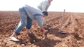 حقيقة سكوتنا عن خسارة الفلاح…