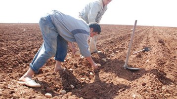 حقيقة سكوتنا عن خسارة الفلاح…