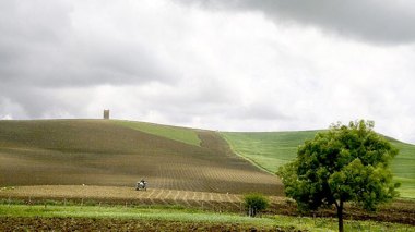 PM Tebboune Freezes Decisions to Grant New Agricultural Land Reserves