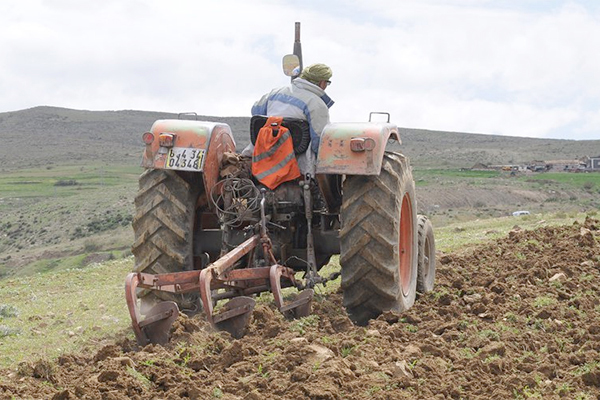 Algerian Debt Towards Spain To Be Converted Into Agricultural Investments