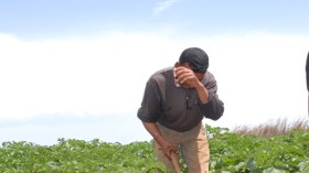 مَن يُثَبِّط عزائمَنا؟