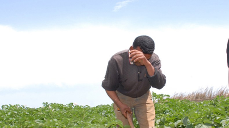 مَن يُثَبِّط عزائمَنا؟