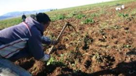 Des pseudo- agriculteurs ont obtenu des crédits pour construire des villas et acquérir des véhicules.