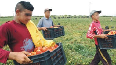 Algerian authorities to implement incentive measures for investments in the agriculture sector