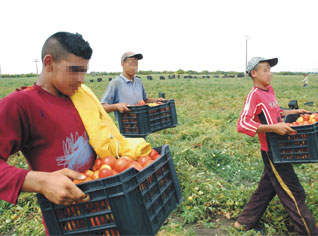 Algerian authorities to implement incentive measures for investments in the agriculture sector