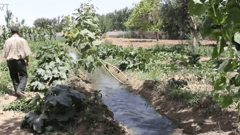 ضبط فلاحين يسقيان البطاطا بمياه الصرف