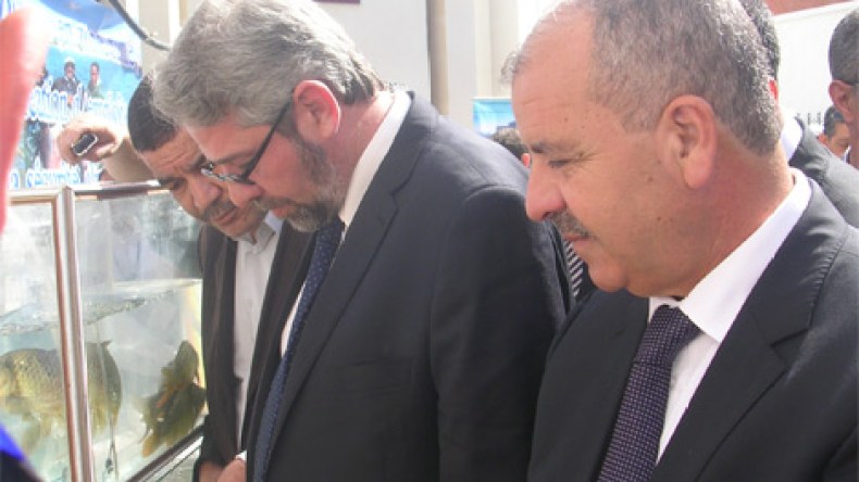 الجزائر تفتتح ملف إنعاش تربية المائيات
