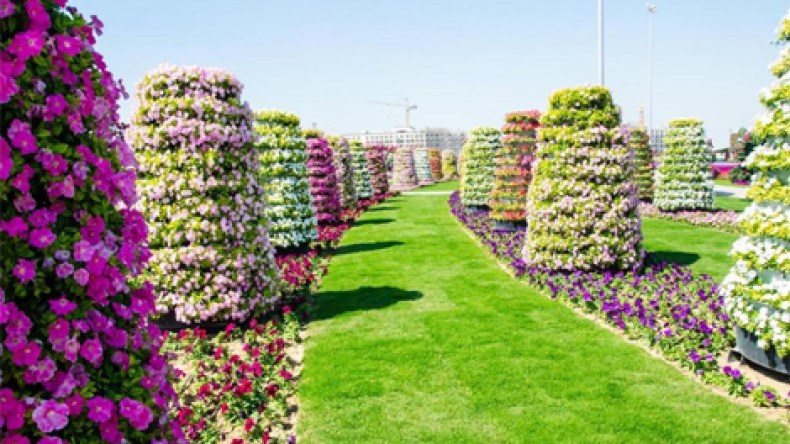 افتتاح اكبر حديقة للزهور في العالم بـ 45 مليون زهرة
