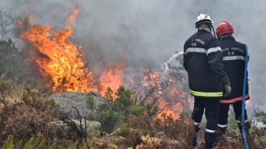Feux de forêts : plus de 30 000 hectares et plus de 7 000 maquis dévastés