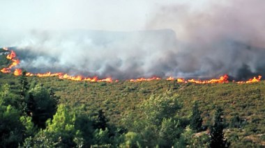 Feux de forêts : 76558 hectares ravagés en deux mois