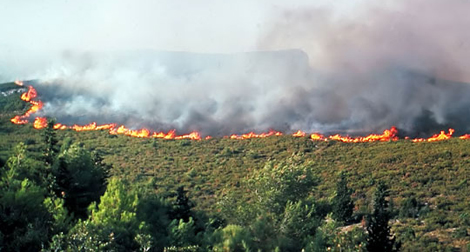 Feux de forêts : 76558 hectares ravagés en deux mois