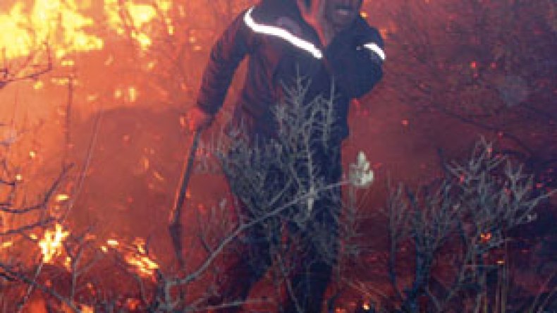 النيران تحرق الغابات عبر 6 ولايات وتخنق الصائمين