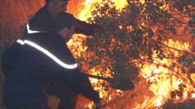 موجة الحرارة ستستمر إلى نهاية الأسبوع والحرائق تحاصر ولايات الشمال