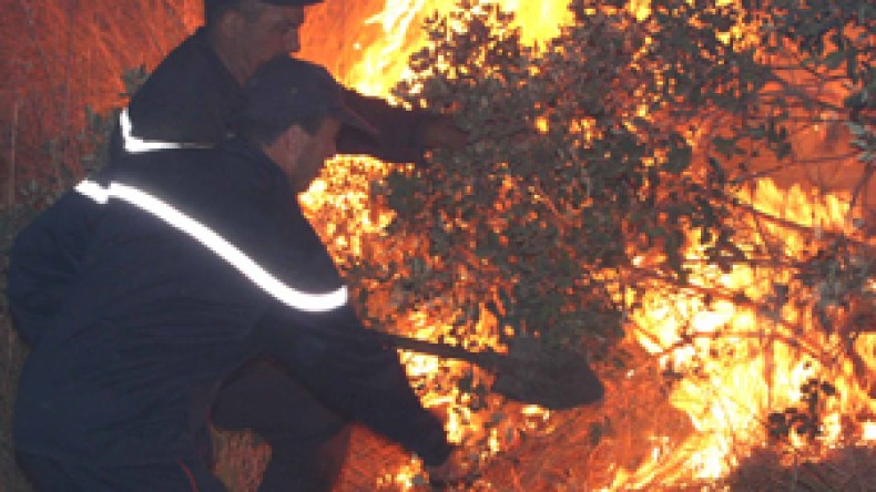 موجة الحرارة ستستمر إلى نهاية الأسبوع والحرائق تحاصر ولايات الشمال