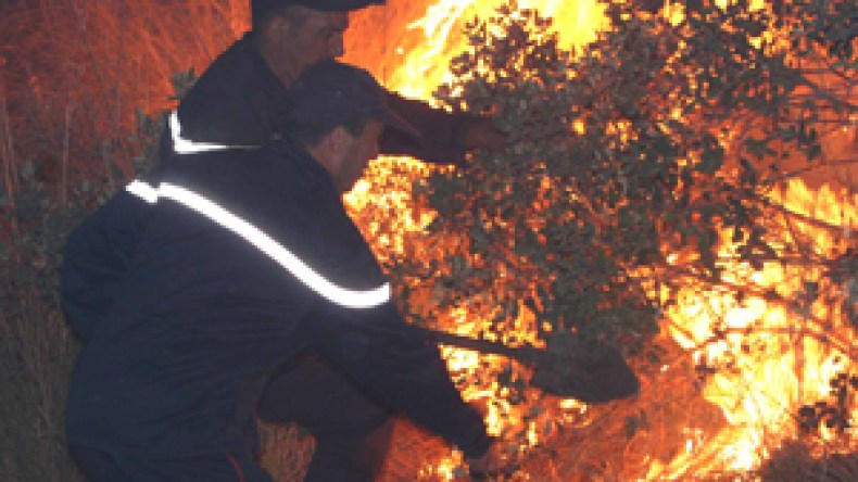 عشرات الحرائق تمدّد استمرار ارتفاع درجات الحرارة إلى غاية الأسبوع المقبل