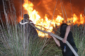 Jijel:  les flammes cernent des villages et des mechtas