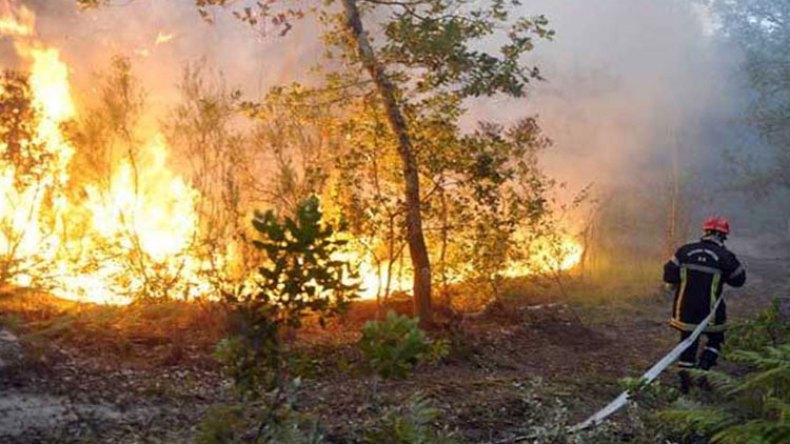 حرائق مهولة تهدد المنازل وتأتي على الأخضر واليابس بتيزي وزو