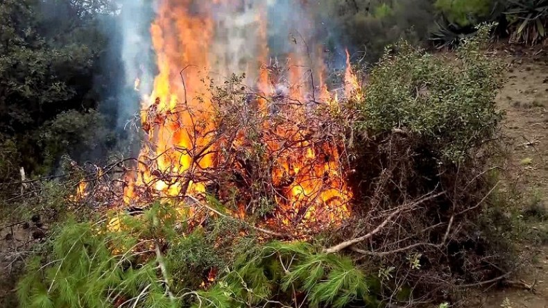 تسجيل 678 حريق على المستوى الوطني