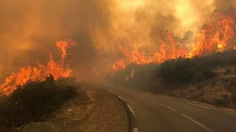 تفحم 180 هكتار من الغطاء الغابي في ظرف ثلاثة أيام ببجاية