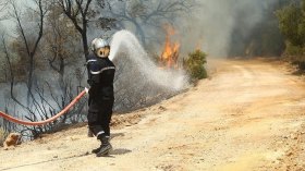 تسجيل 15 حريقا خلال 24 ساعة بولاية بجاية