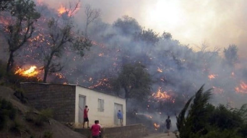 النيران تبيد 253 هكتار من الغطاء الغابي في يوم واحد بسكيكدة