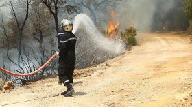 حرائق الغابات ليست طبيعية.. وتحقيق الدرك سيكشف المتورطين