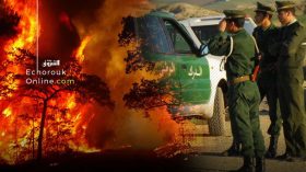 L’Algérie ravagée par plusieurs incendies: 1252 enquêtes ouvertes