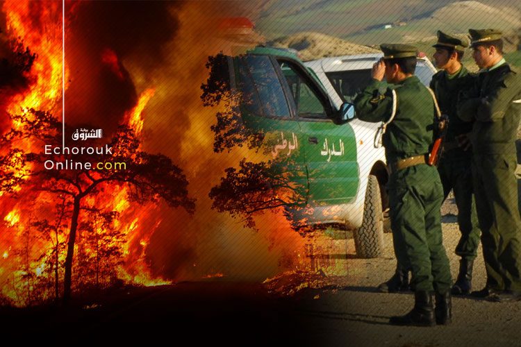 L’Algérie ravagée par plusieurs incendies: 1252 enquêtes ouvertes